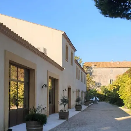 Domaine De L'Herbe Sainte Mirepeisset Exterior photo