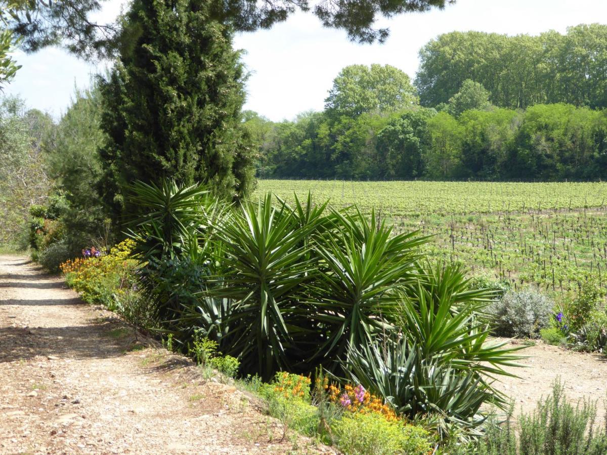 Domaine De L'herbe Sainte Apartment