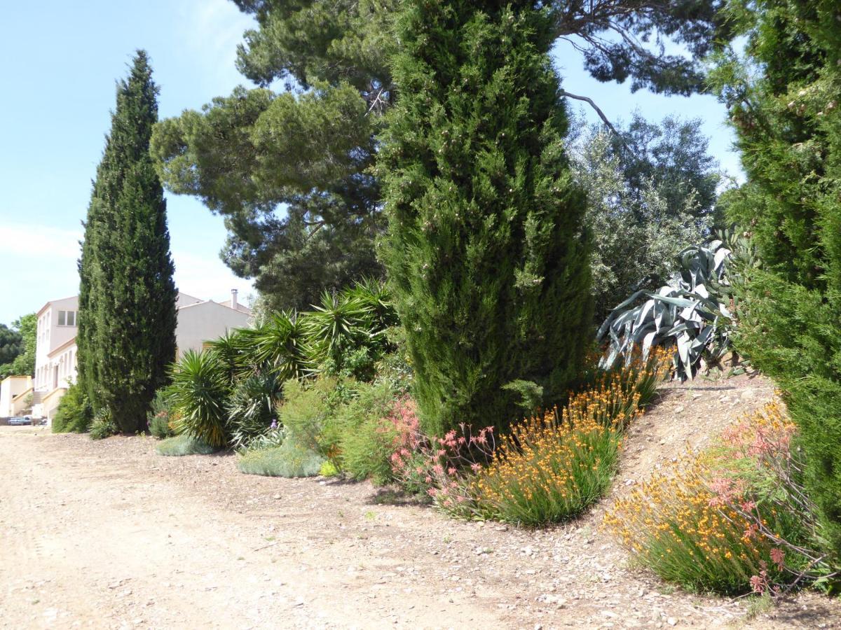 Domaine De L'herbe Sainte