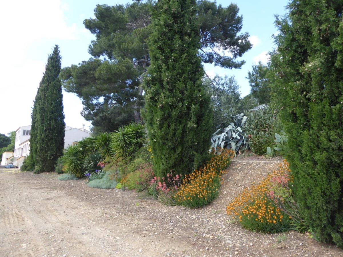 Domaine De L’herbe Sainte Mirepeisset