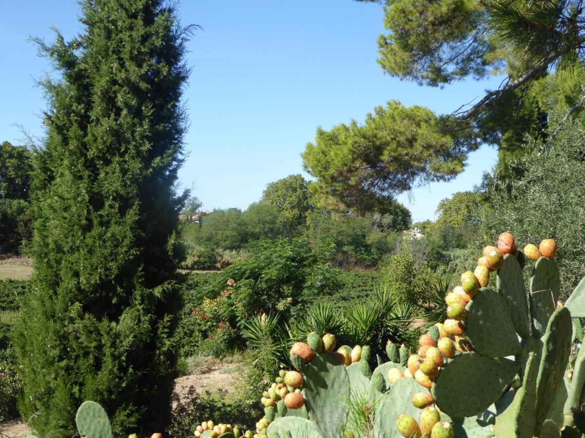 Domaine De L'herbe Sainte Apartment