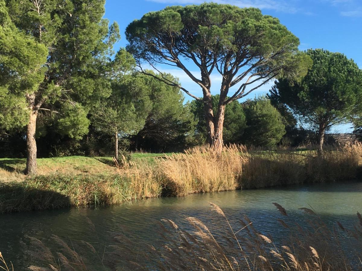 Domaine De L'herbe Sainte