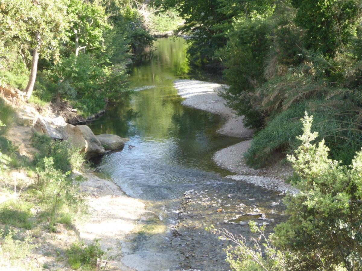 Domaine De L'herbe Sainte Mirepeisset